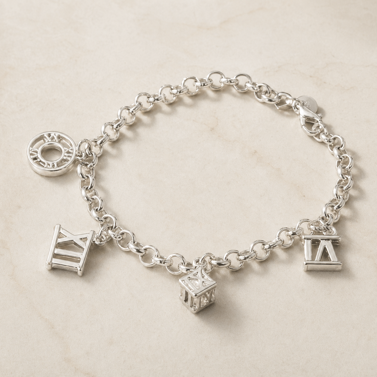 Charm Bracelet in Sterling Silver